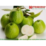 Ổi Da Xanh Ruột Trắng 