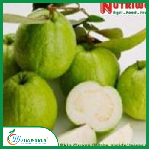 Ổi Da Xanh Ruột Trắng 