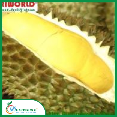 Sầu Riêng Cái Mơn